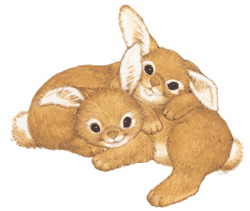Lapins animaux