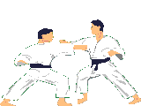 Karate images