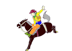 Rodeo le sport gifs