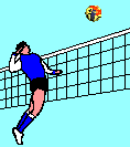 Volley ball le sport gifs