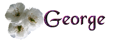George nom gifs